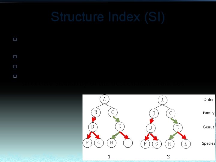 Structure Index (SI) � � Structure Index is calculated as ratio of common routes.