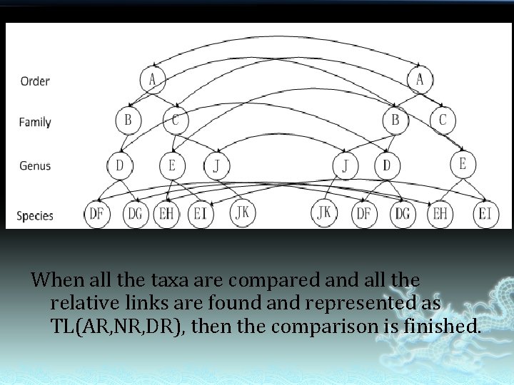 When all the taxa are compared and all the relative links are found and