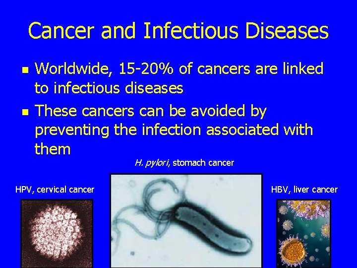 Cancer and Infectious Diseases n n Worldwide, 15 -20% of cancers are linked to