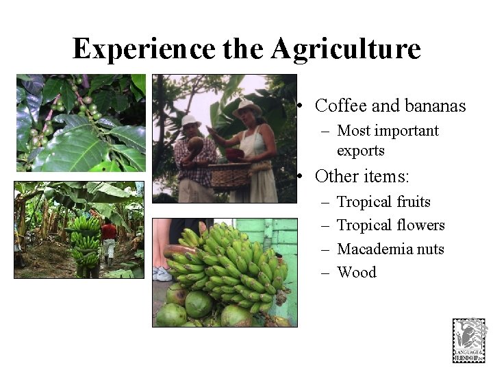 Experience the Agriculture • Coffee and bananas – Most important exports • Other items: