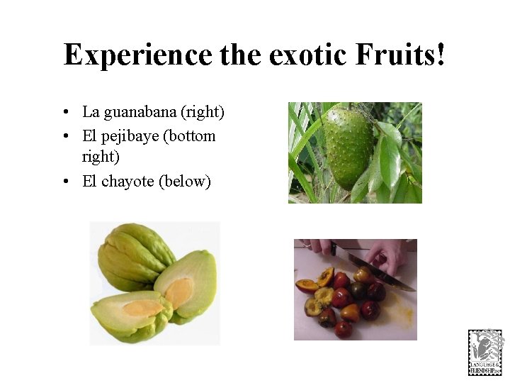 Experience the exotic Fruits! • La guanabana (right) • El pejibaye (bottom right) •