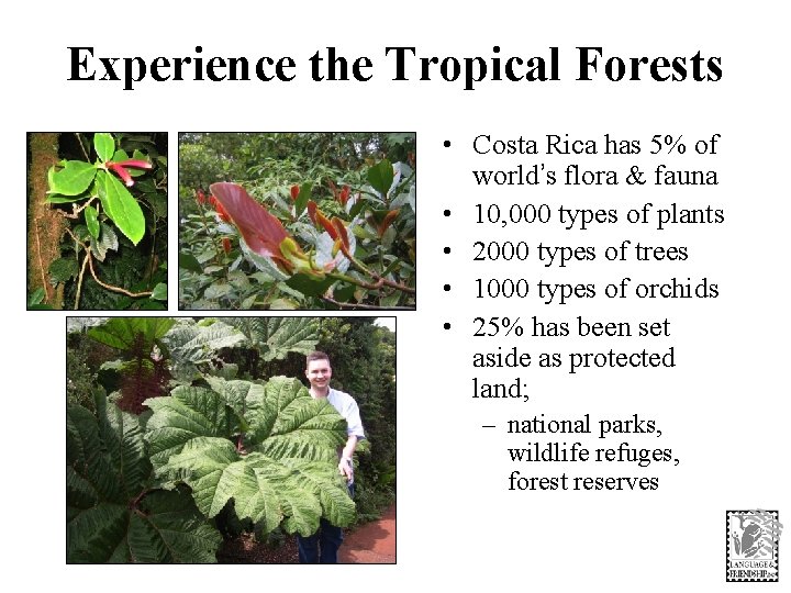 Experience the Tropical Forests • Costa Rica has 5% of world’s flora & fauna