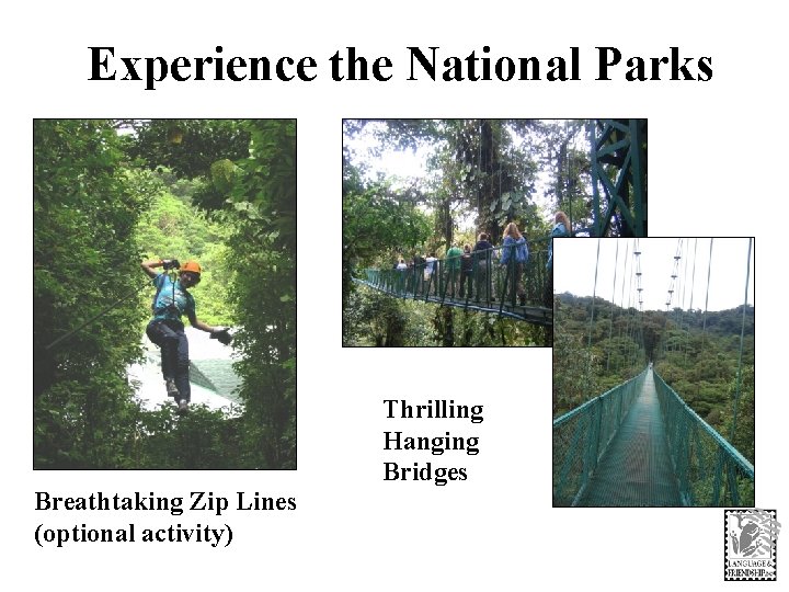 Experience the National Parks Breathtaking Zip Lines (optional activity) Thrilling Hanging Bridges 