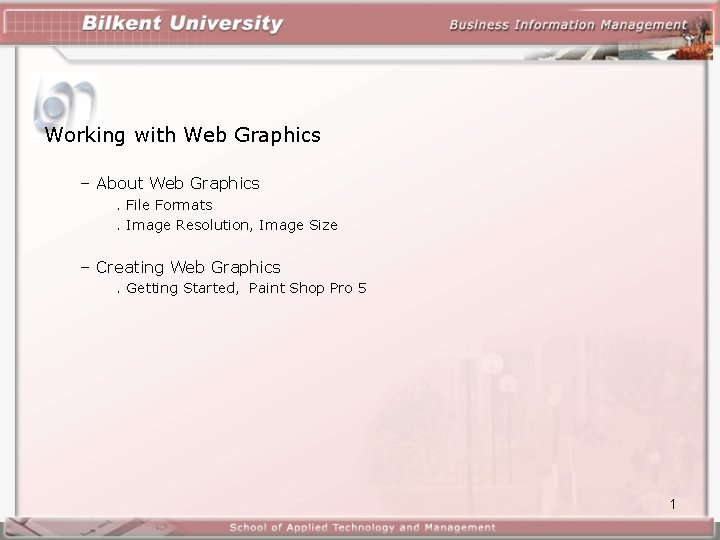 Working with Web Graphics – About Web Graphics. File Formats. Image Resolution, Image Size