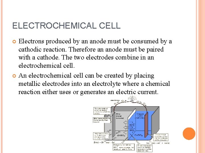 ELECTROCHEMICAL CELL Electrons produced by an anode must be consumed by a cathodic reaction.