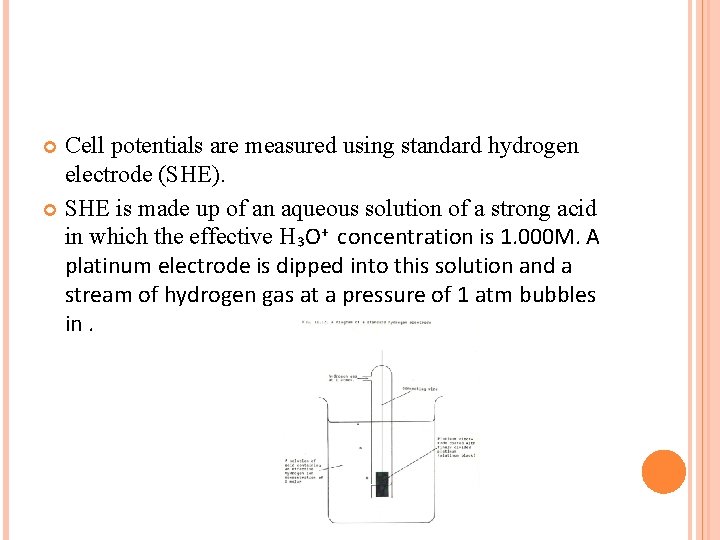 Cell potentials are measured using standard hydrogen electrode (SHE). SHE is made up of