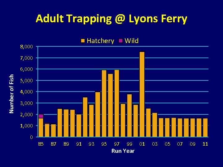 Adult Trapping @ Lyons Ferry Hatchery 8, 000 Wild 7, 000 Number of Fish Adult Trapping @ Lyons Ferry Hatchery 8, 000 Wild 7, 000 Number of Fish