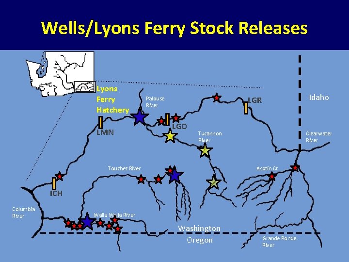 Wells/Lyons Ferry Stock Releases Lyons Ferry Hatchery LMN Idaho LGR Palouse River LGO Tucannon Wells/Lyons Ferry Stock Releases Lyons Ferry Hatchery LMN Idaho LGR Palouse River LGO Tucannon