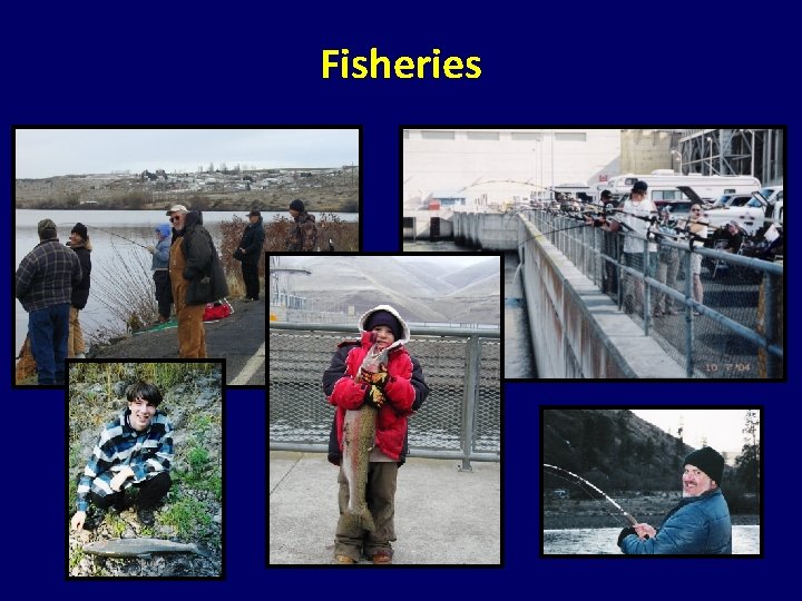 Fisheries Fisheries
