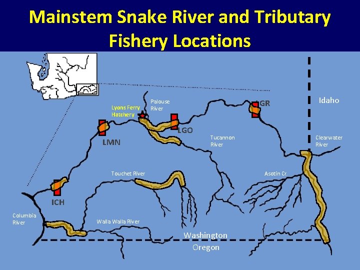 Mainstem Snake River and Tributary Fishery Locations Lyons Ferry Hatchery LGR Palouse River LGO Mainstem Snake River and Tributary Fishery Locations Lyons Ferry Hatchery LGR Palouse River LGO