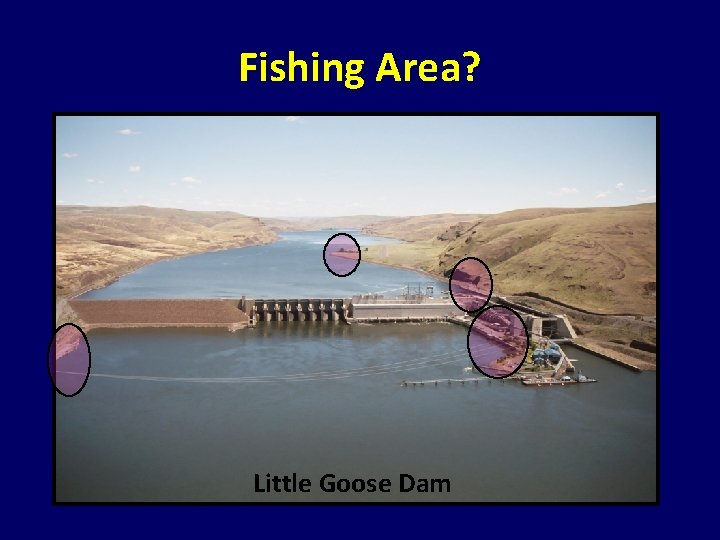 Fishing Area? Little Goose Dam Fishing Area? Little Goose Dam