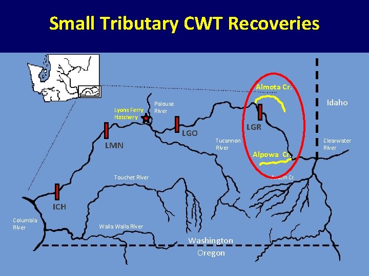 Small Tributary CWT Recoveries Almota Cr. Lyons Ferry Hatchery Idaho Palouse River LGO LMN Small Tributary CWT Recoveries Almota Cr. Lyons Ferry Hatchery Idaho Palouse River LGO LMN