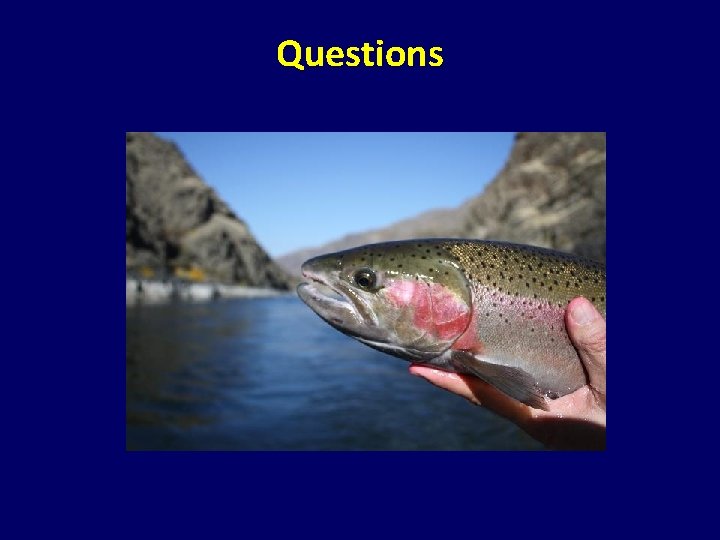 Questions Questions