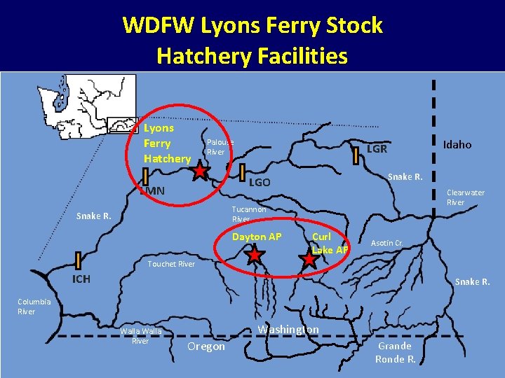 WDFW Lyons Ferry Stock Hatchery Facilities Lyons Ferry Hatchery Palouse River Snake R. LGO WDFW Lyons Ferry Stock Hatchery Facilities Lyons Ferry Hatchery Palouse River Snake R. LGO