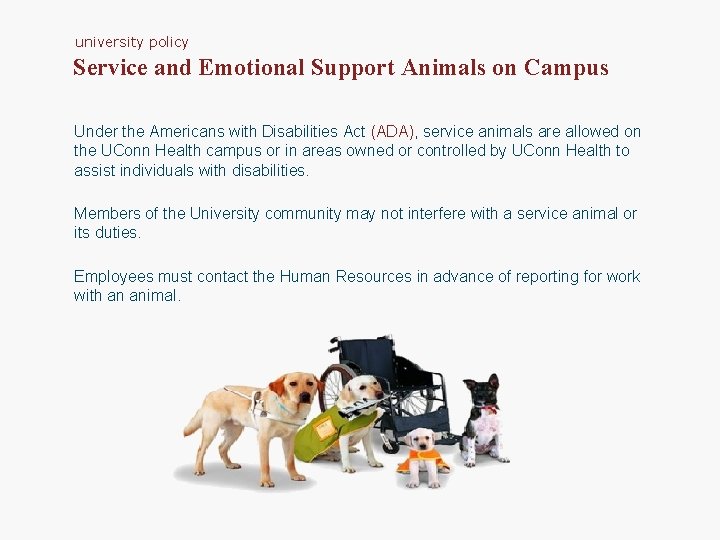 university policy Service and Emotional Support Animals on Campus Under the Americans with Disabilities