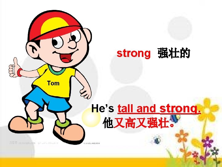 strong 强壮的 Tom He’s tall and strong. 他又高又强壮。 强壮 