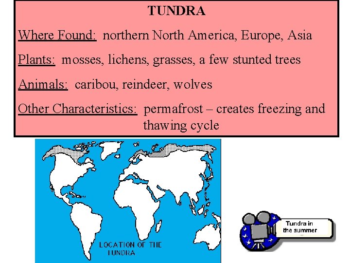 TUNDRA Where Found: northern North America, Europe, Asia Plants: mosses, lichens, grasses, a few