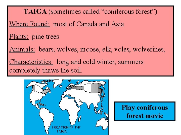 TAIGA (sometimes called “coniferous forest”) Where Found: most of Canada and Asia Plants: pine
