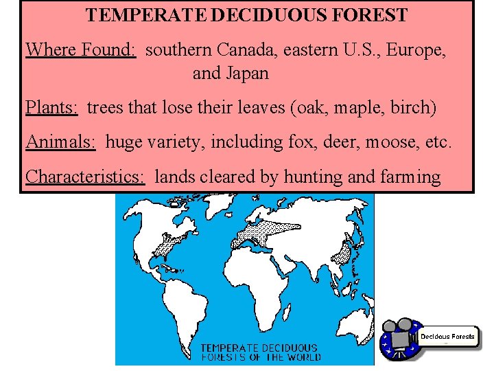 TEMPERATE DECIDUOUS FOREST Where Found: southern Canada, eastern U. S. , Europe, and Japan