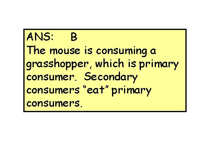 ANS: B The mouse is consuming a grasshopper, which is primary consumer. Secondary consumers