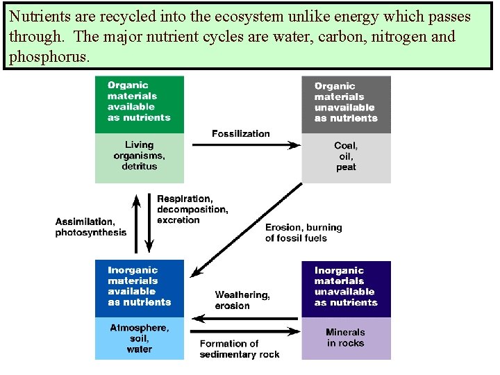 Nutrients are recycled into the ecosystem unlike energy which passes through. The major nutrient