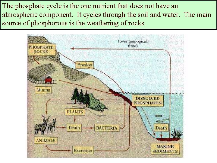 The phosphate cycle is the one nutrient that does not have an atmospheric component.