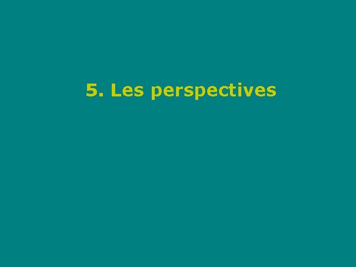 5. Les perspectives 
