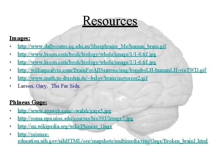Resources Images: • • • http: //www. dalbsoutss. eq. edu. au/Sheepbrains_Me/human_brain. gif http: //www.