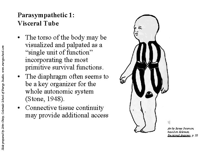 Slide prepared by John Chitty, Colorado School of Energy Studies, www. energyschool. com Parasympathetic