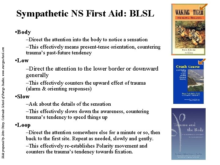 Sympathetic NS First Aid: BLSL Slide prepared by John Chitty, Colorado School of Energy