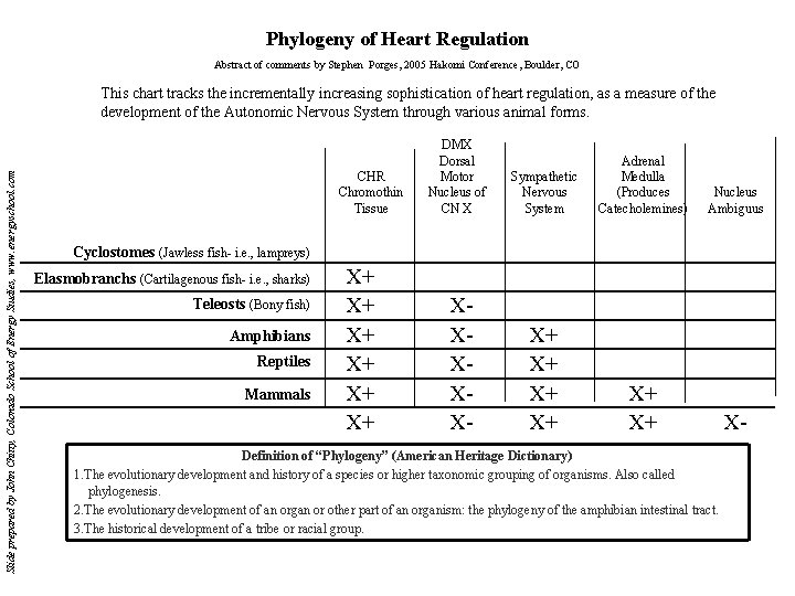 Phylogeny of Heart Regulation Abstract of comments by Stephen Porges, 2005 Hakomi Conference, Boulder,