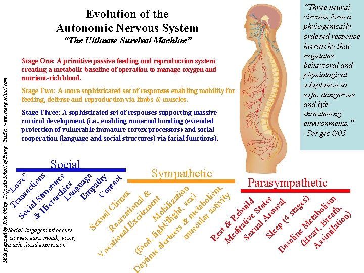 Evolution of the Autonomic Nervous System Stage One: A primitive passive feeding and reproduction