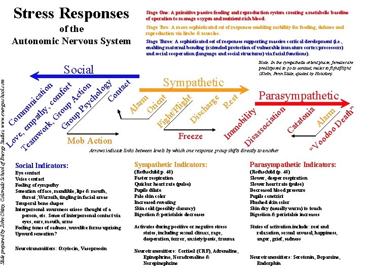 Stress Responses of the Autonomic Nervous System Stage Two: A more sophisticated set of