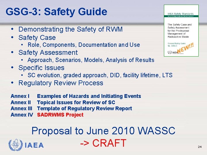 GSG-3: Safety Guide • Demonstrating the Safety of RWM • Safety Case • Role,