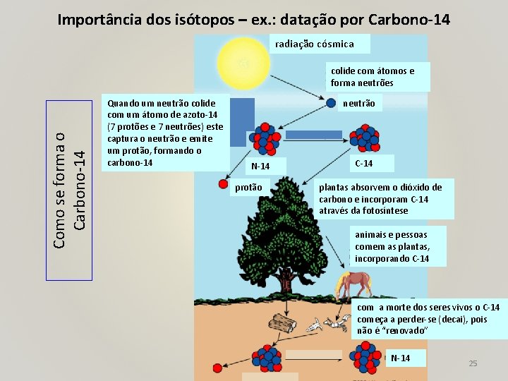 Importância dos isótopos – ex. : datação por Carbono-14 radiação cósmica Como se forma