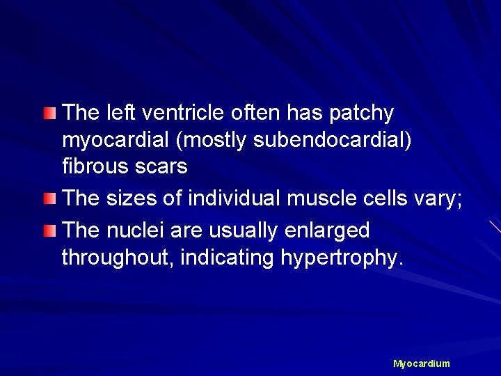 The left ventricle often has patchy myocardial (mostly subendocardial) fibrous scars The sizes of