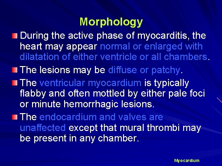 Morphology During the active phase of myocarditis, the heart may appear normal or enlarged