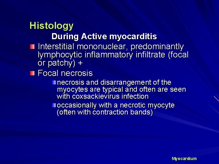 Histology During Active myocarditis Interstitial mononuclear, predominantly lymphocytic inflammatory infiltrate (focal or patchy) +