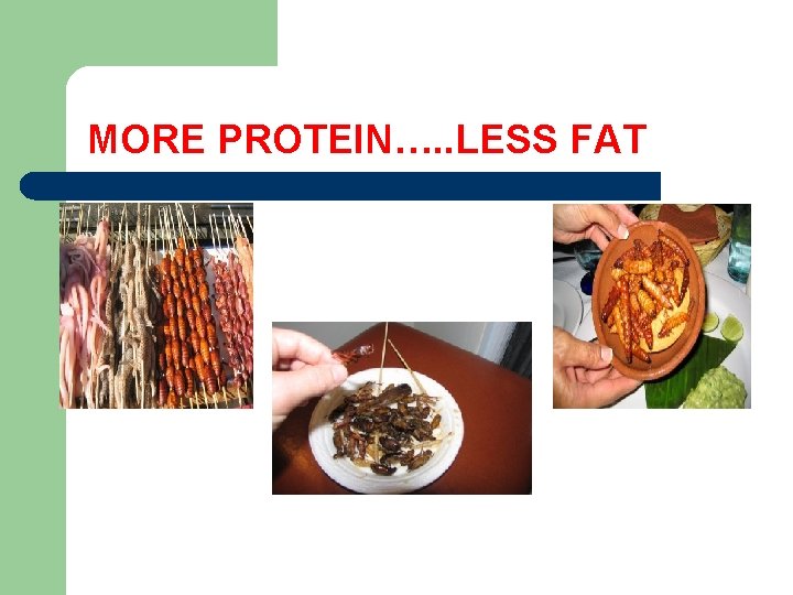 MORE PROTEIN…. . LESS FAT 