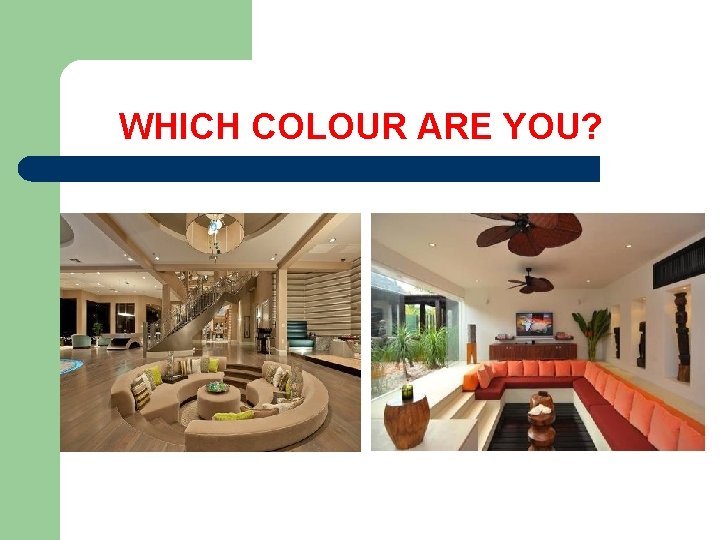  WHICH COLOUR ARE YOU? 