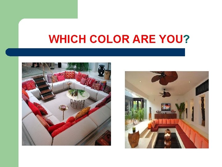 WHICH COLOR ARE YOU? 