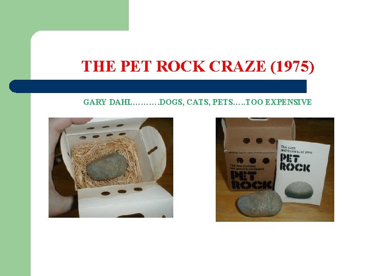 THE PET ROCK CRAZE (1975) GARY DAHL………. DOGS, CATS, PETS…. . TOO EXPENSIVE 