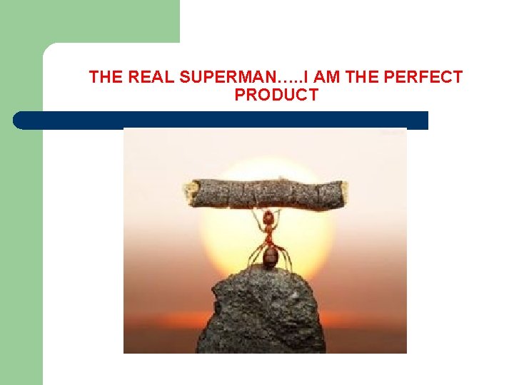 THE REAL SUPERMAN…. . I AM THE PERFECT PRODUCT 