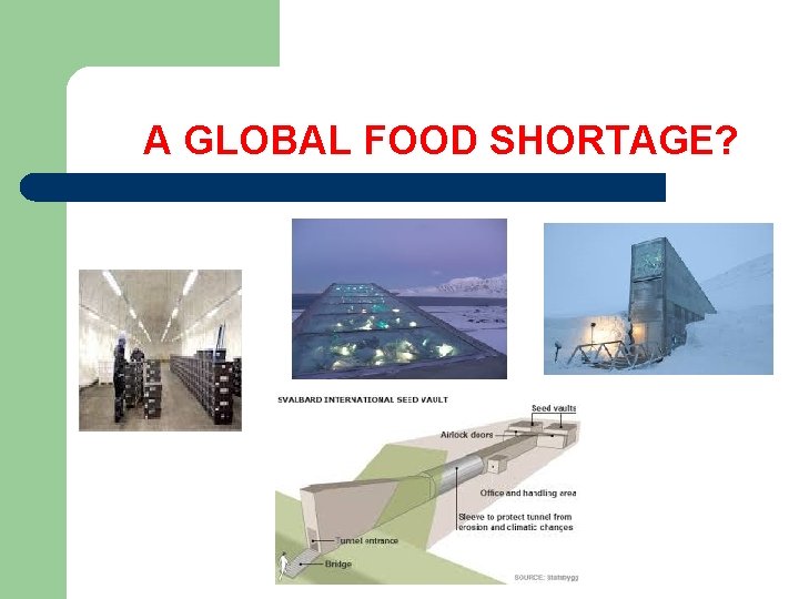  A GLOBAL FOOD SHORTAGE? 