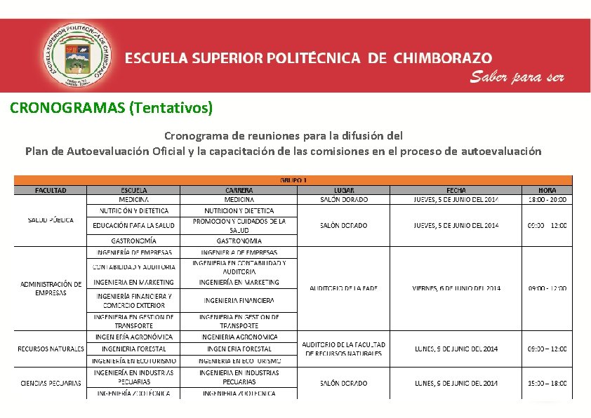  CRONOGRAMAS (Tentativos) Cronograma de reuniones para la difusión del Plan de Autoevaluación Oficial