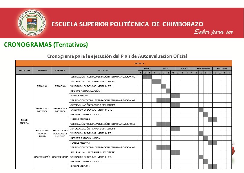  CRONOGRAMAS (Tentativos) Cronograma para la ejecución del Plan de Autoevaluación Oficial 3 