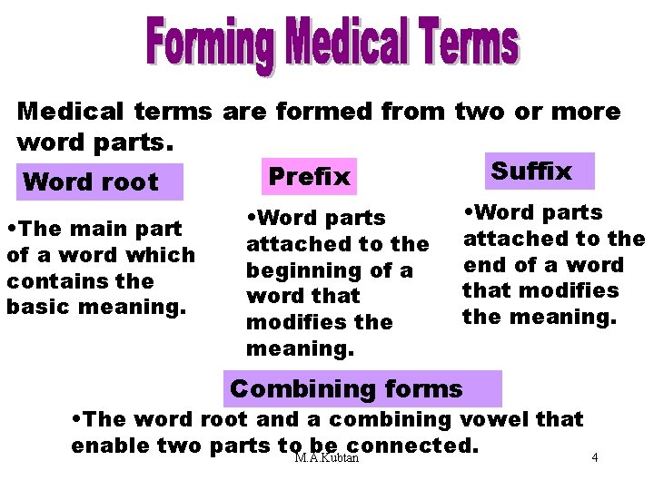 Forming Medical Terms Part 2 Medical terms are formed from two or more word