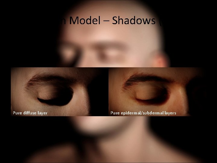 New Skin Model – Shadows (Image) Pure diffuse layer Pure epidermal/subdermal layers 