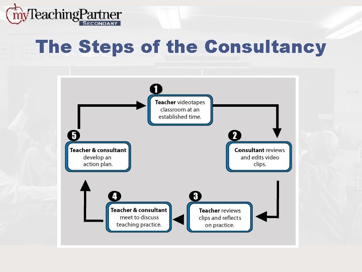 The Steps of the Consultancy 