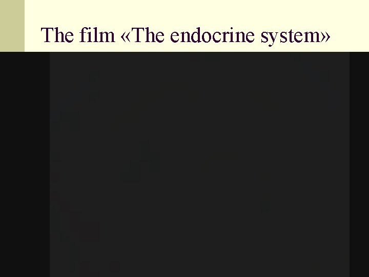 The film «The endocrine system» 